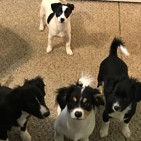 Yvonne Why I sell on Posh. My baby Fundraiser ๐ถ๐ผ - Picture 8 of 9